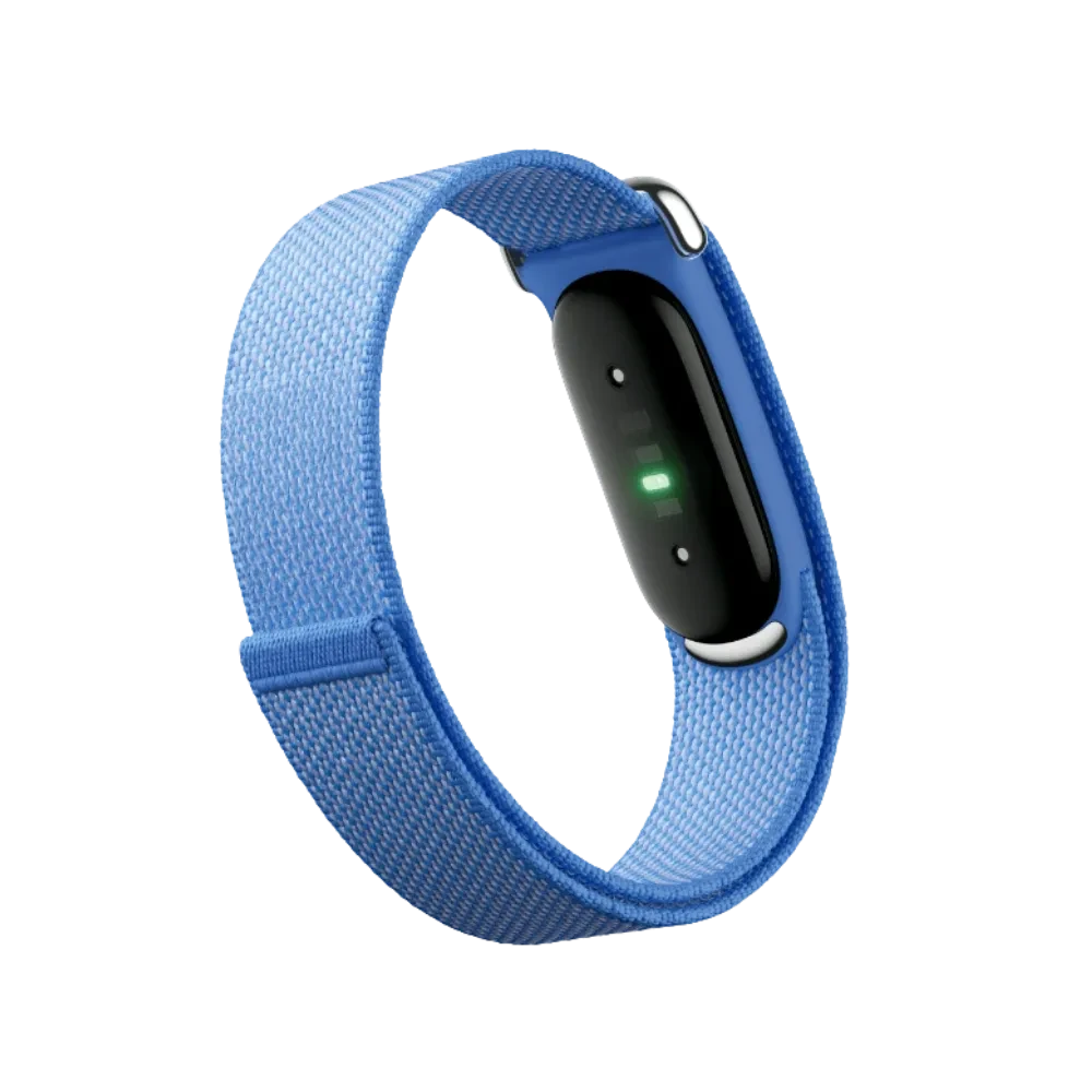Google Fitbit Air "Lavender"